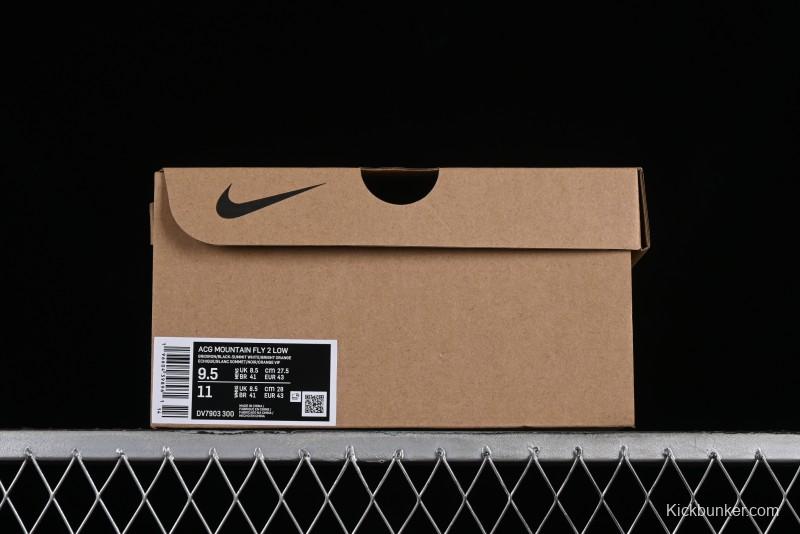 Nike ACG Mountain Fly 2 Low GTX SE Outdoor Hiking Shoes - DV7903-300