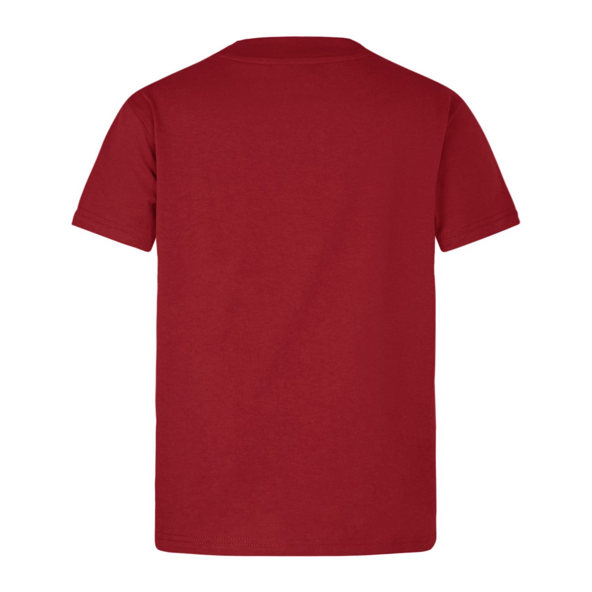 2025 British & Irish Rugby Jersey
